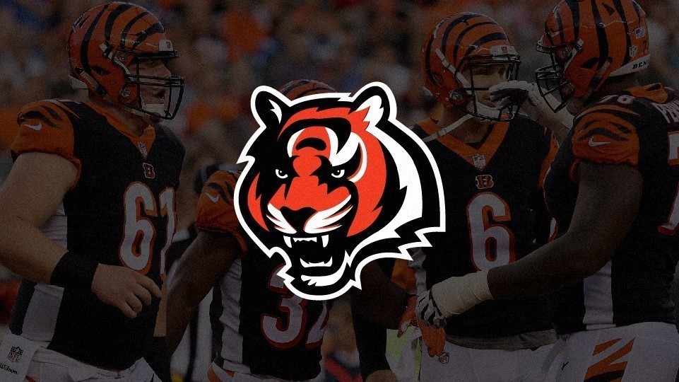 Cincinnati Bengals: hist&oacute;ria, t&iacute;tulos e curiosidades
