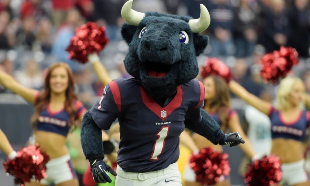 Toro mascote Texans na NFL