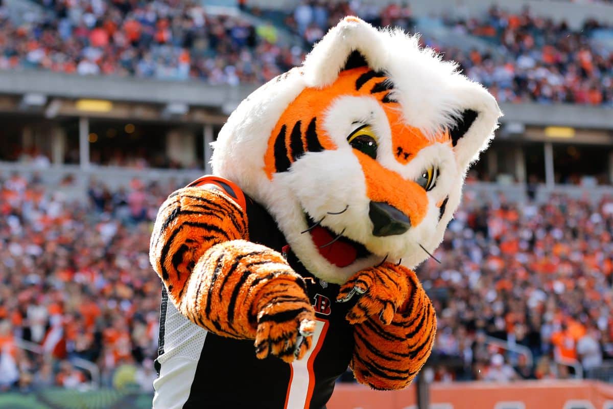 Who Dey mascote do Cincinnati Bengals