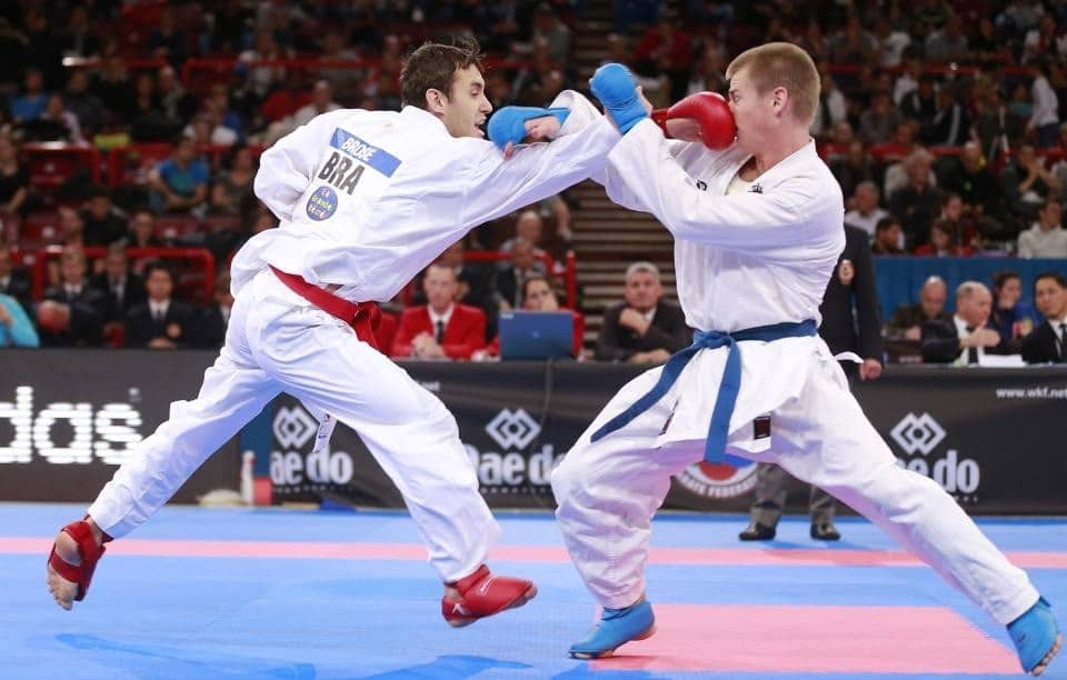 T&eacute;cnicas e golpes com as m&atilde;os no karat&ecirc;