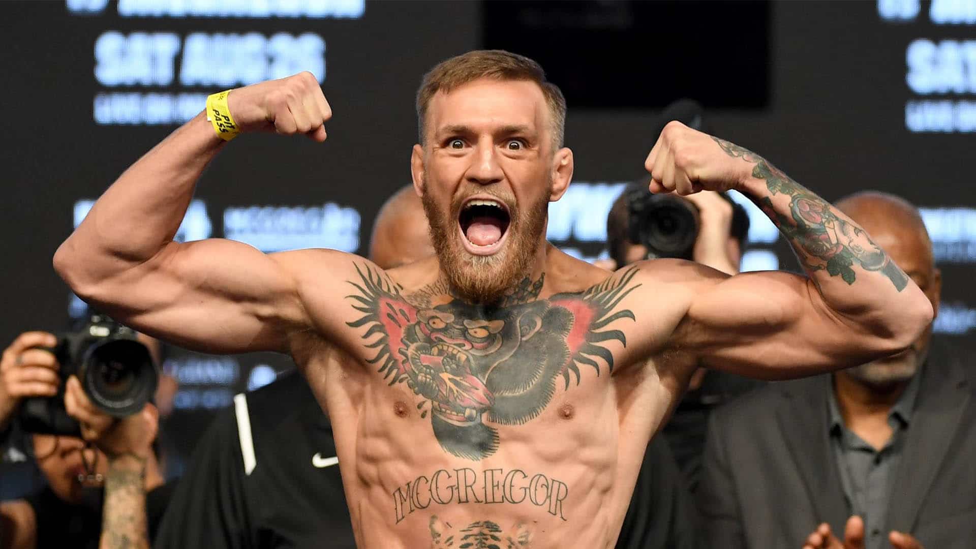 categorias de conor mcgregor