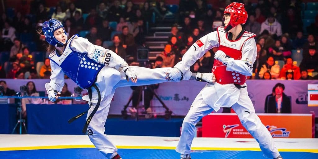 T&eacute;cnicas de defesa do Taekwondo