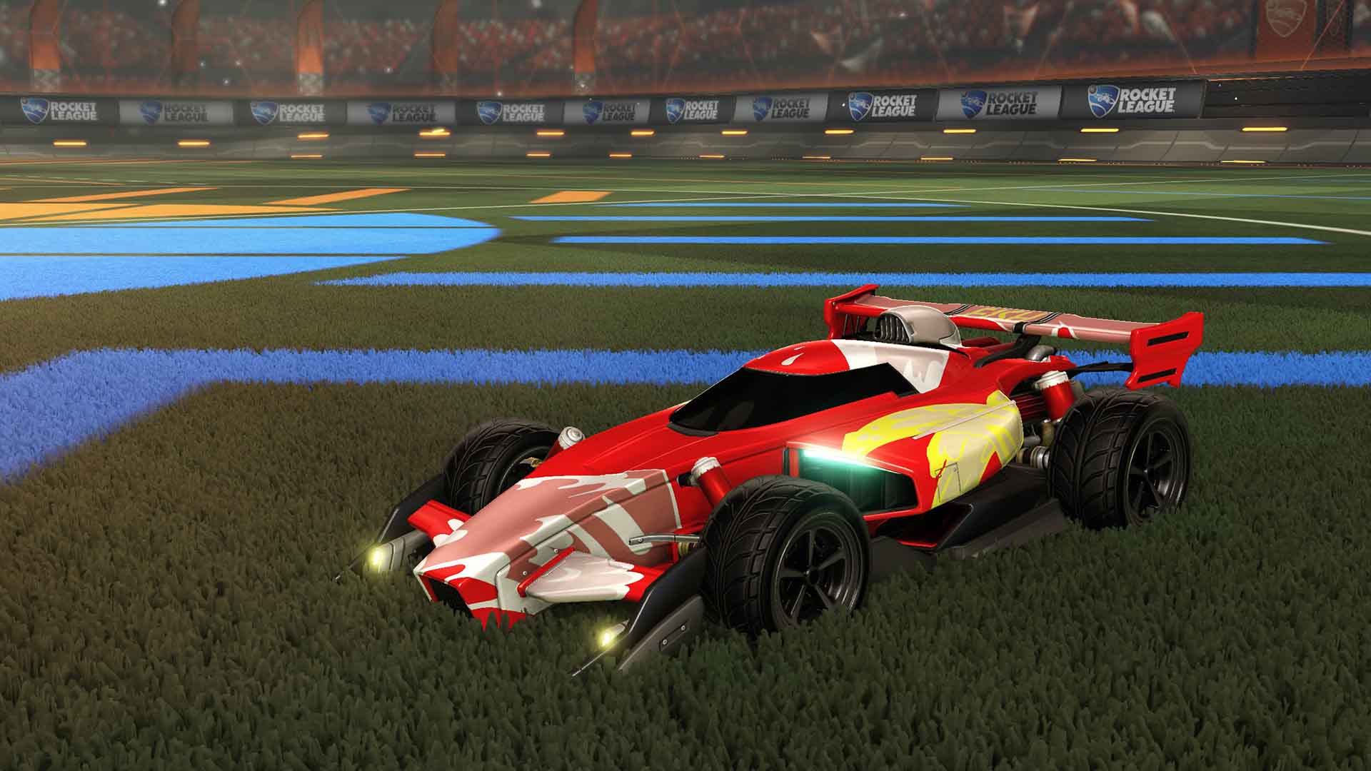 Animus GP
