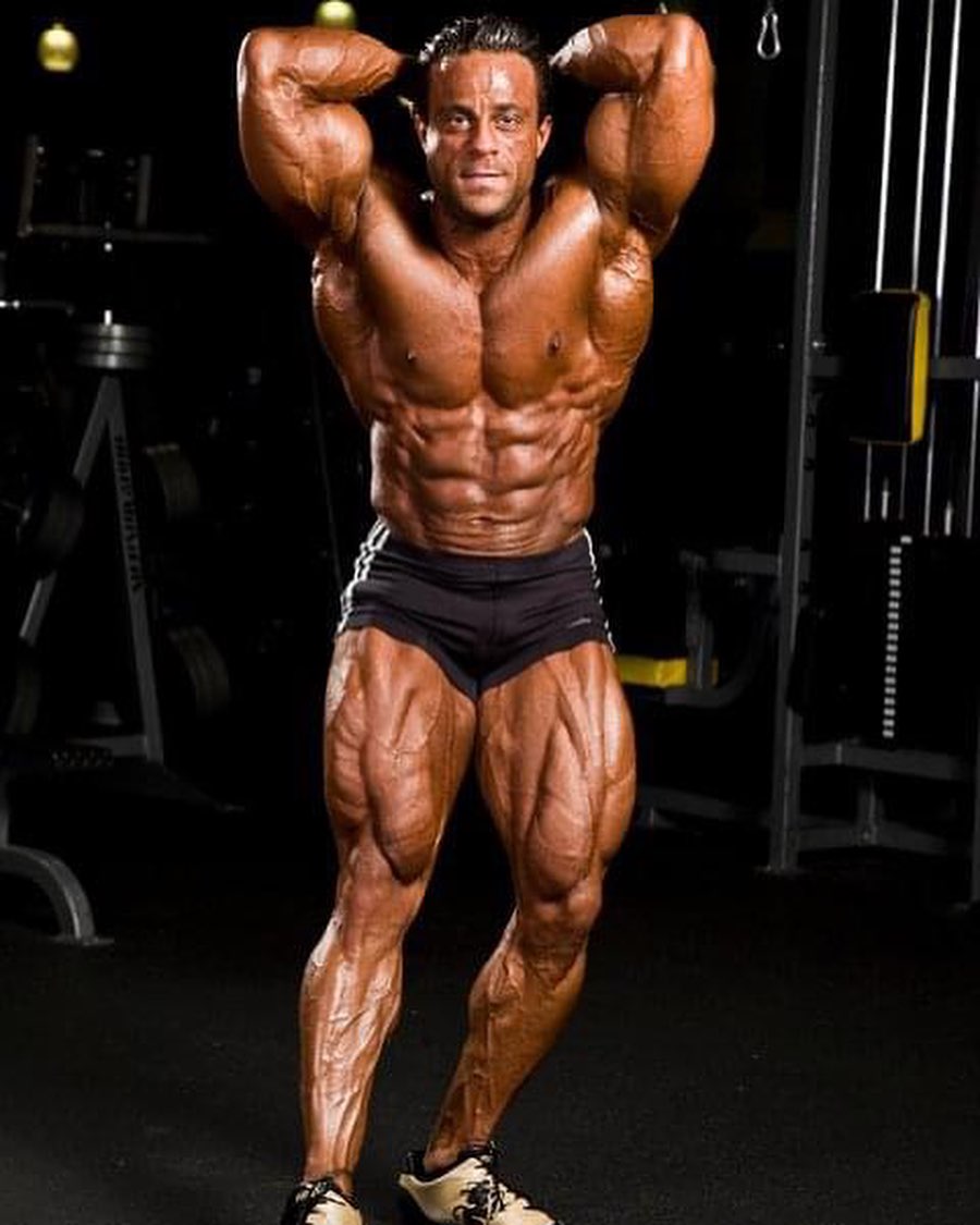 Melhores brasileiros do fisiculturismo