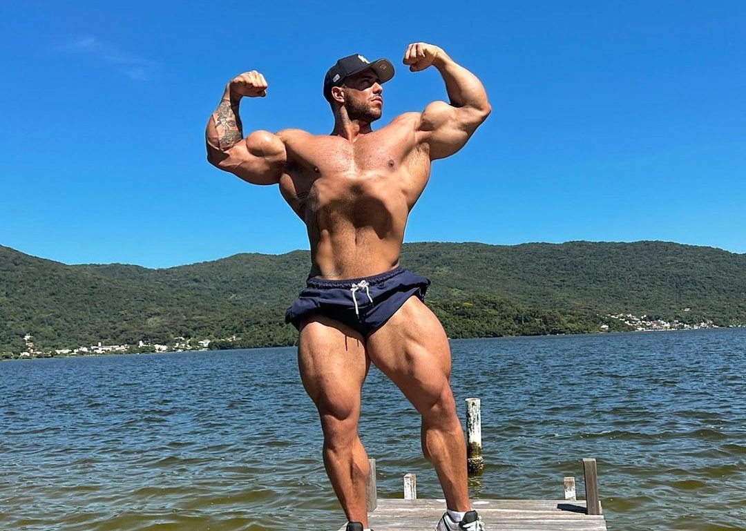 Marcelo de Angelis (Marcelo Horse) : hist&oacute;ria, t&iacute;tulos e curiosidades