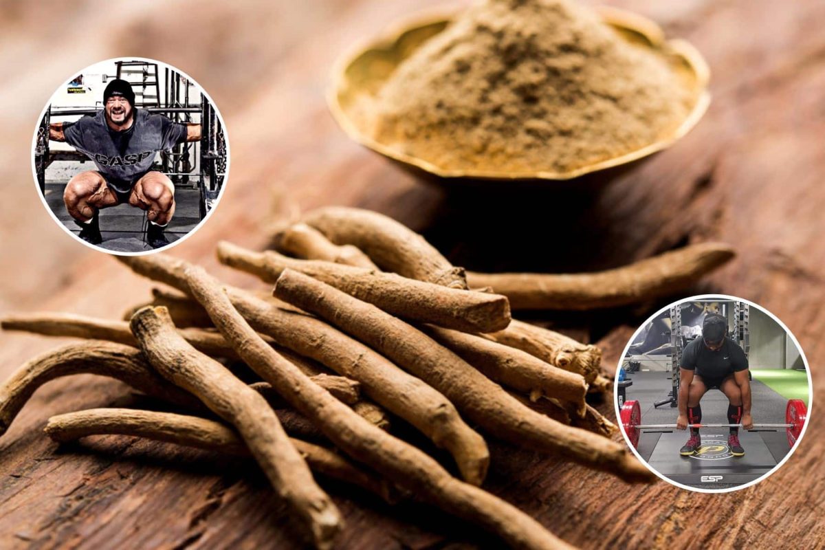 Ashwagandha pode ser o grande segredo dos atletas de for&ccedil;a: entenda os benef&iacute;cios do seu uso