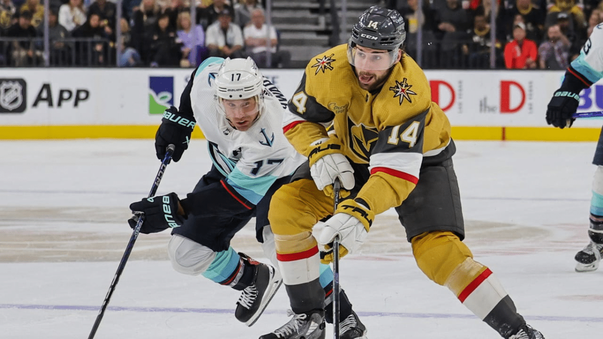 Times da NHL: conhe&ccedil;a todas as franquias do h&oacute;quei no gelo