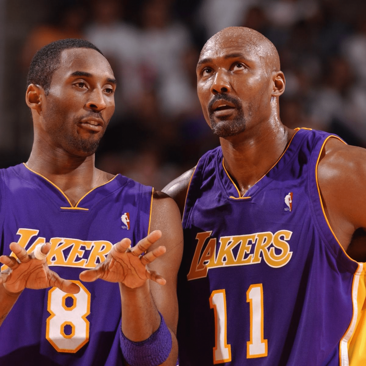 Divulga&ccedil;&atilde;o