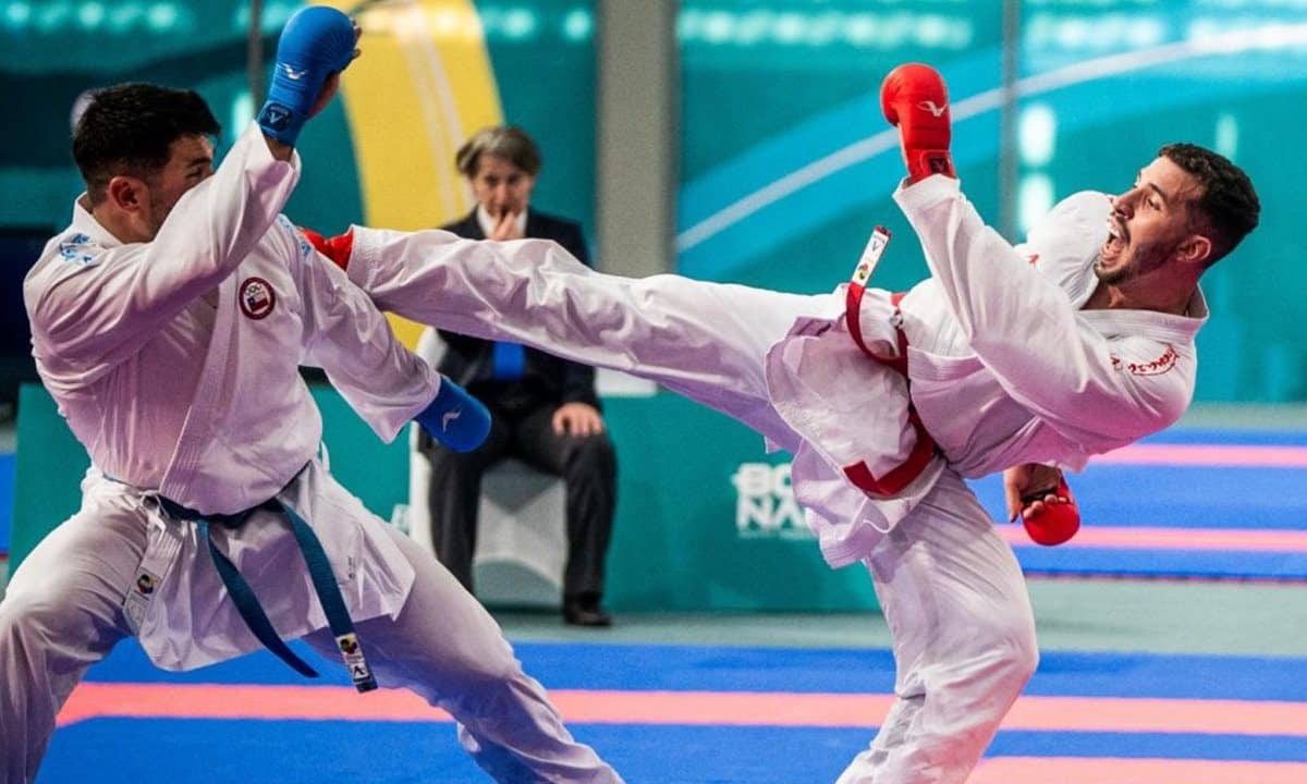 Dicion&aacute;rio do Karat&ecirc; (2026) &ndash; Conhe&ccedil;a todos os termos do esporte