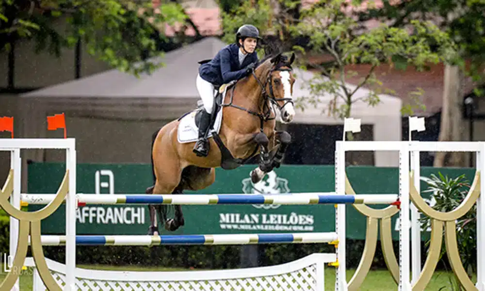 Dicion&aacute;rio do hipismo (2026) &ndash; Conhe&ccedil;a todos os termos do esporte