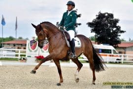 Regras do Hipismo (2026): tudo o que voc&ecirc; precisa saber