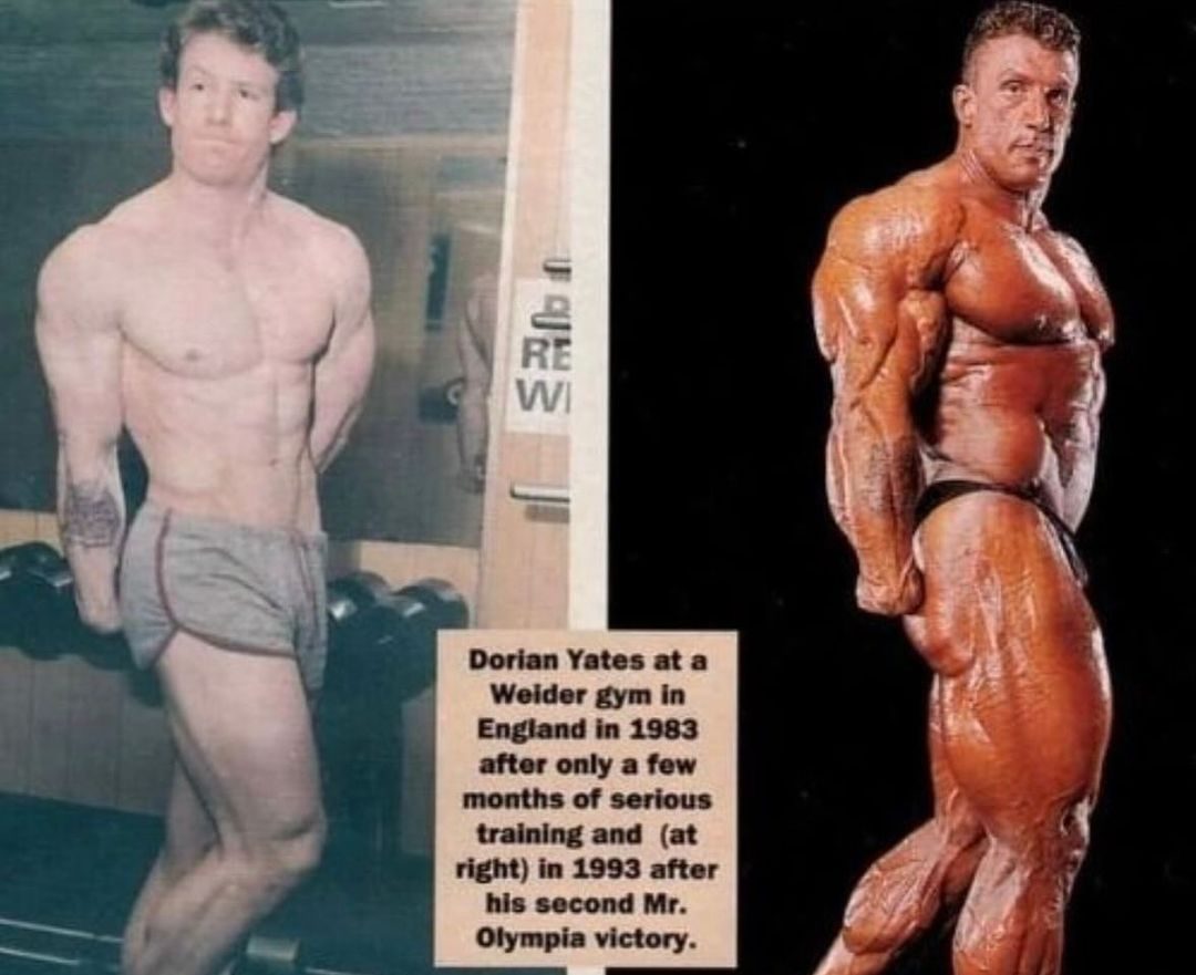 Os 20 melhores fisiculturistas do mundo na hist&oacute;ria e na atualidade