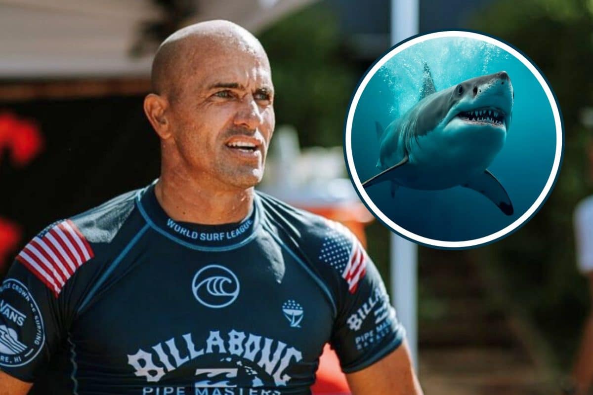 Kelly Slater: &ldquo;Se voc&ecirc; estiver no mar e vier um tubar&atilde;o, encare!&rdquo;