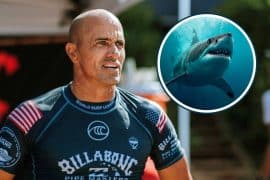 Kelly Slater: &ldquo;Se voc&ecirc; estiver no mar e vier um tubar&atilde;o, encare!&rdquo;